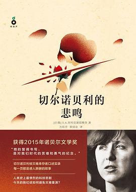 切尔诺贝利的悲鸣 切尔诺贝利的悲鸣