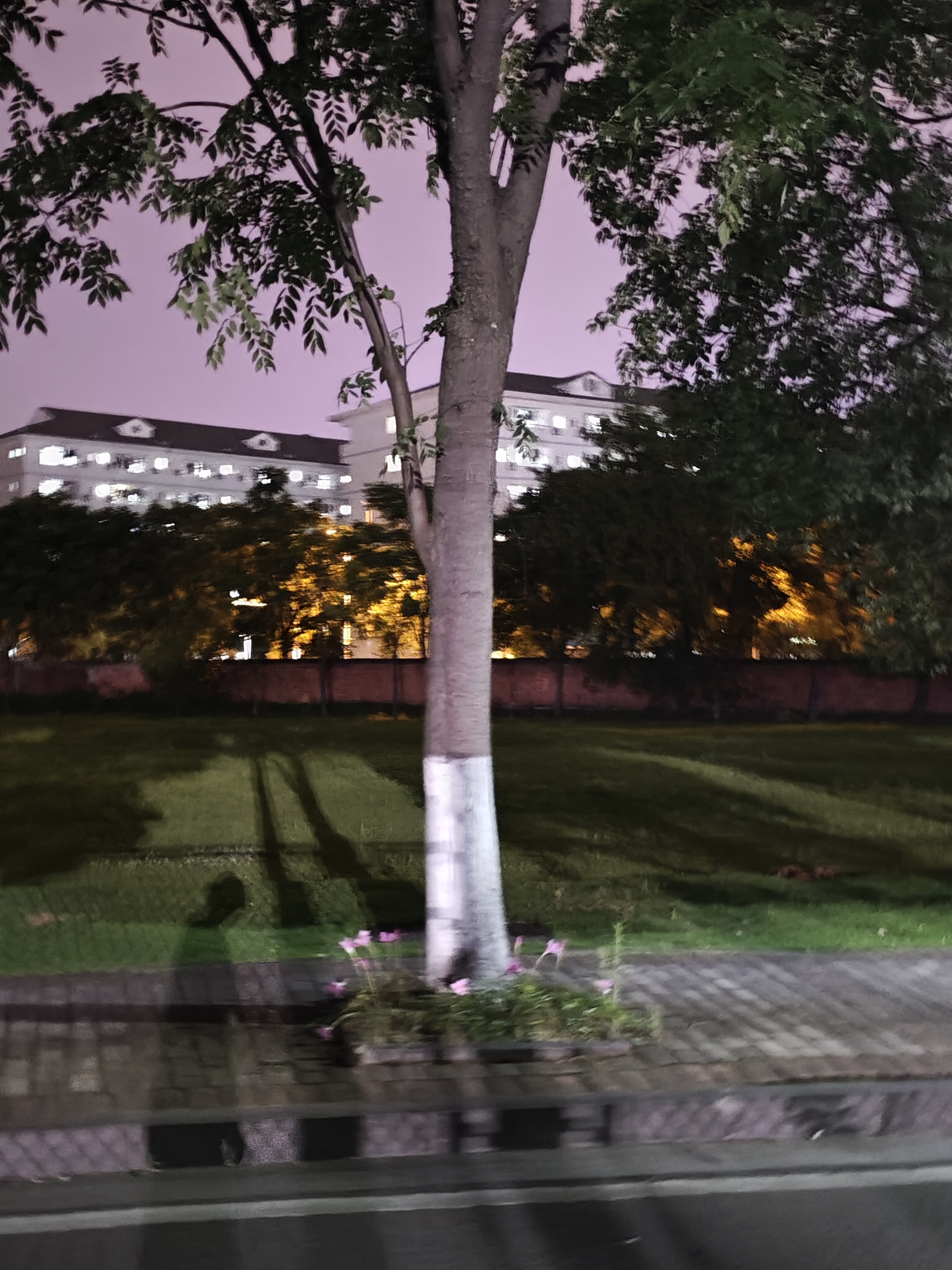 中南大学夜晚 中南大学夜晚